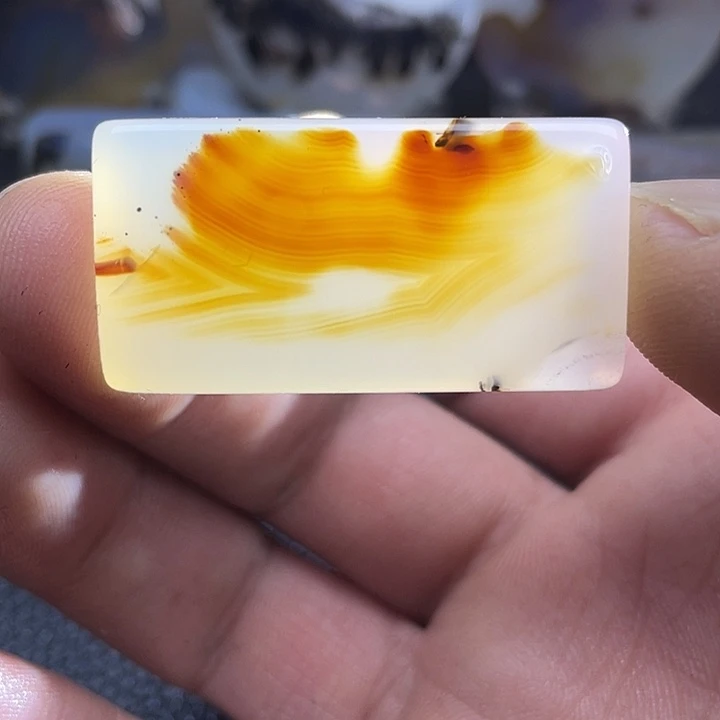 芳***林玛瑙/玉髓未镶嵌颈饰