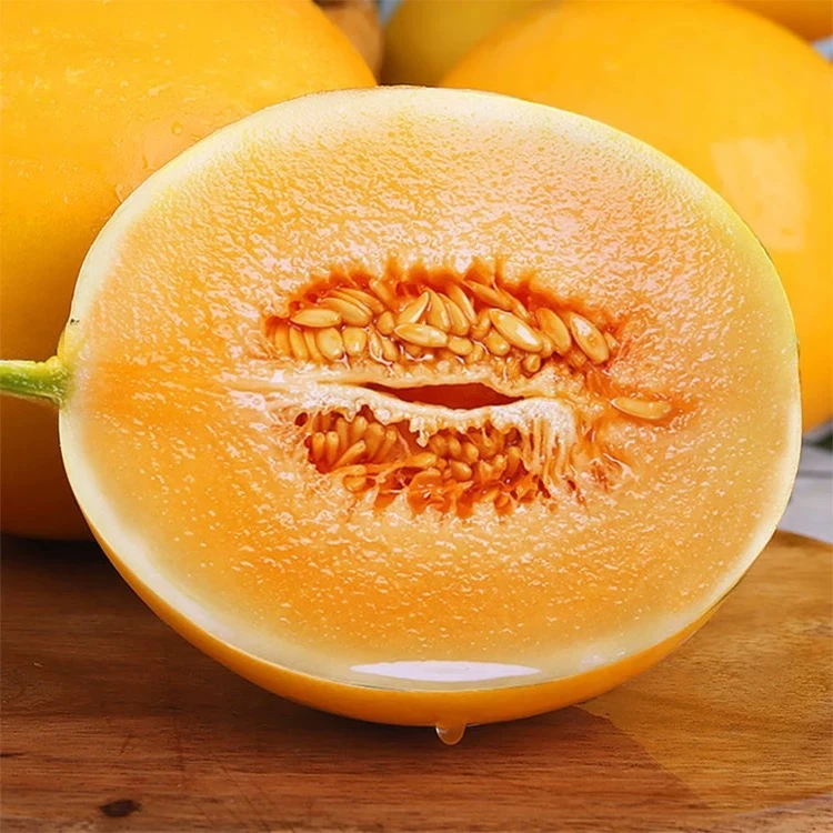 【深漂阿树】甘肃民勤蜜瓜丨黄金蜜瓜甜蜜多汁果肉厚实