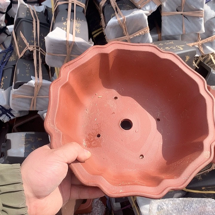 紫砂淘宝优惠券起单曲领