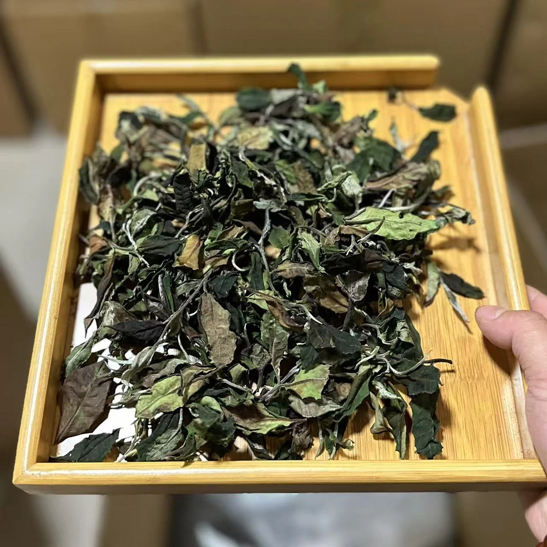 2025年头春【倚邦古树混采白茶】云南白茶散茶【支持开箱试喝】