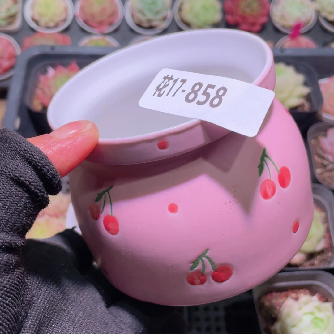 花利美17-858花盆一个