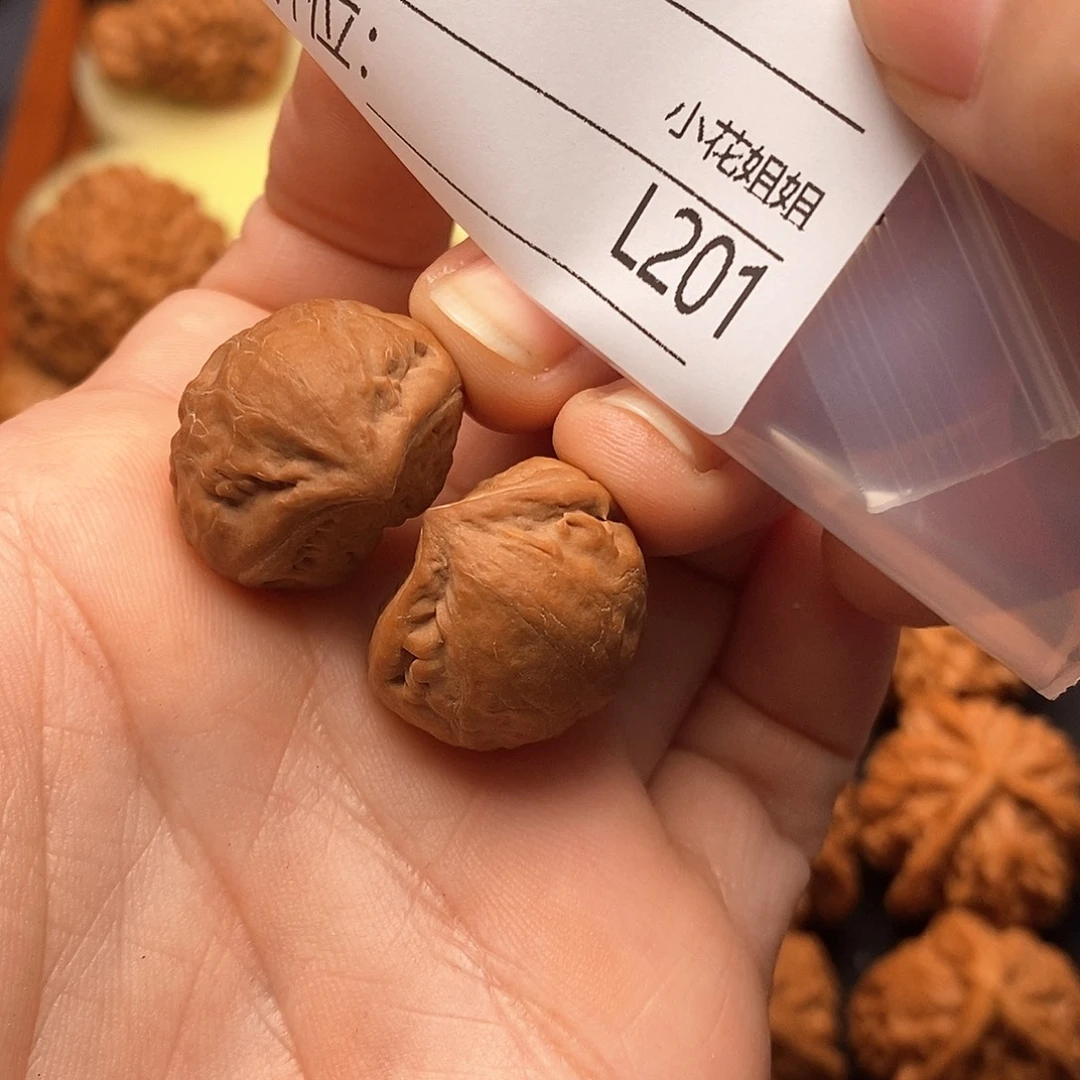 大***飞把件文玩核桃2.3迷你小蛇王