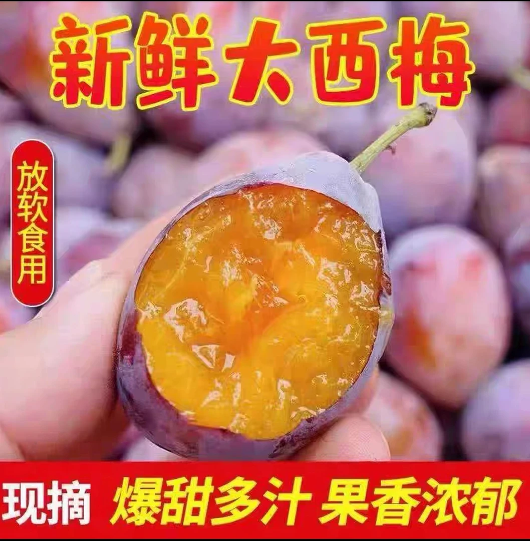 【纤果有约】正宗现摘甜西梅新鲜水果当季整箱包邮