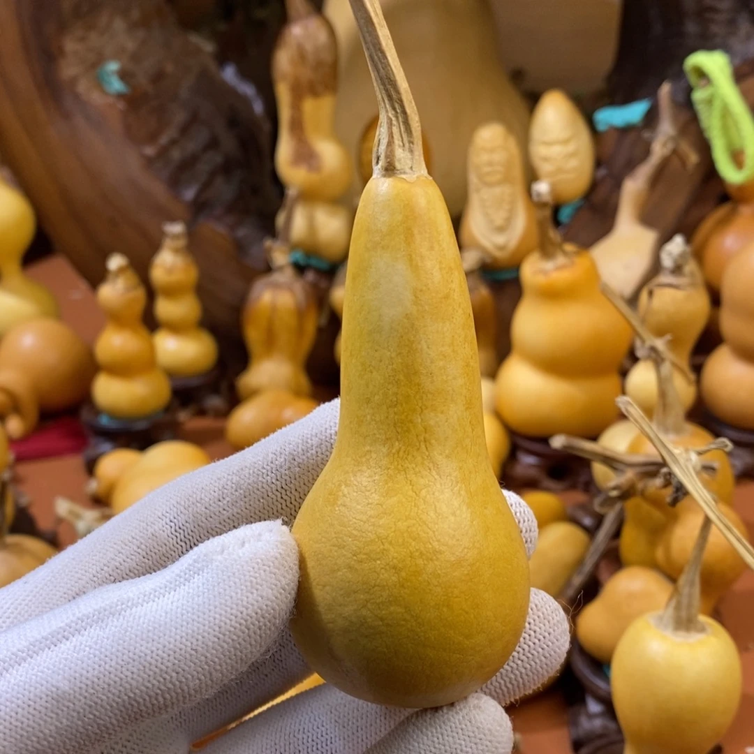 世***尘教练来咯哦哦哦哦哦哦哦