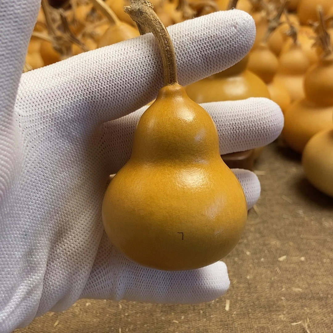 文玩葫芦 完美主义者 慎拍7
