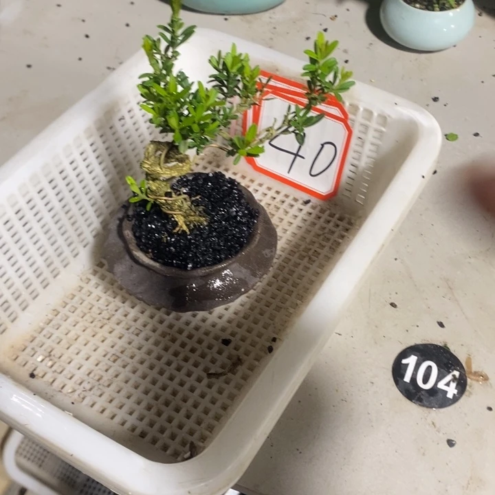 用****9退款拉黑一物一拍40