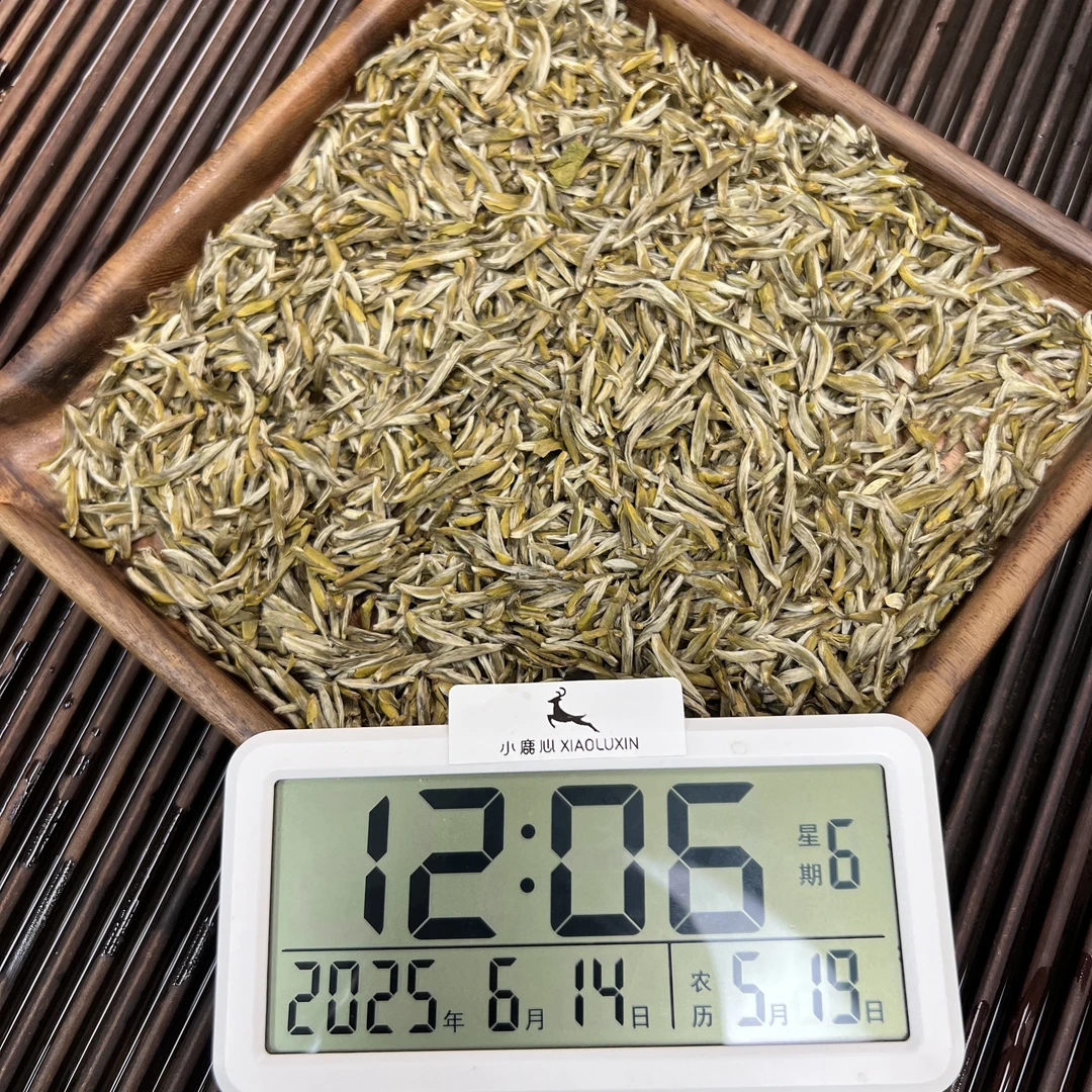 茉莉金龍毫 小鹿收茶 茉莉花茶 6月14