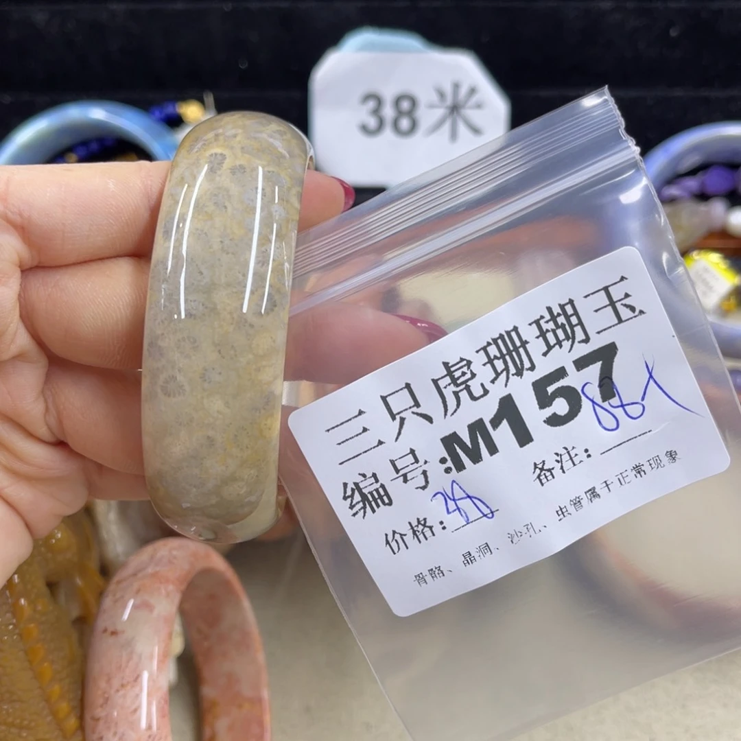东***&硅化珊瑚（珊瑚玉）h未镶嵌