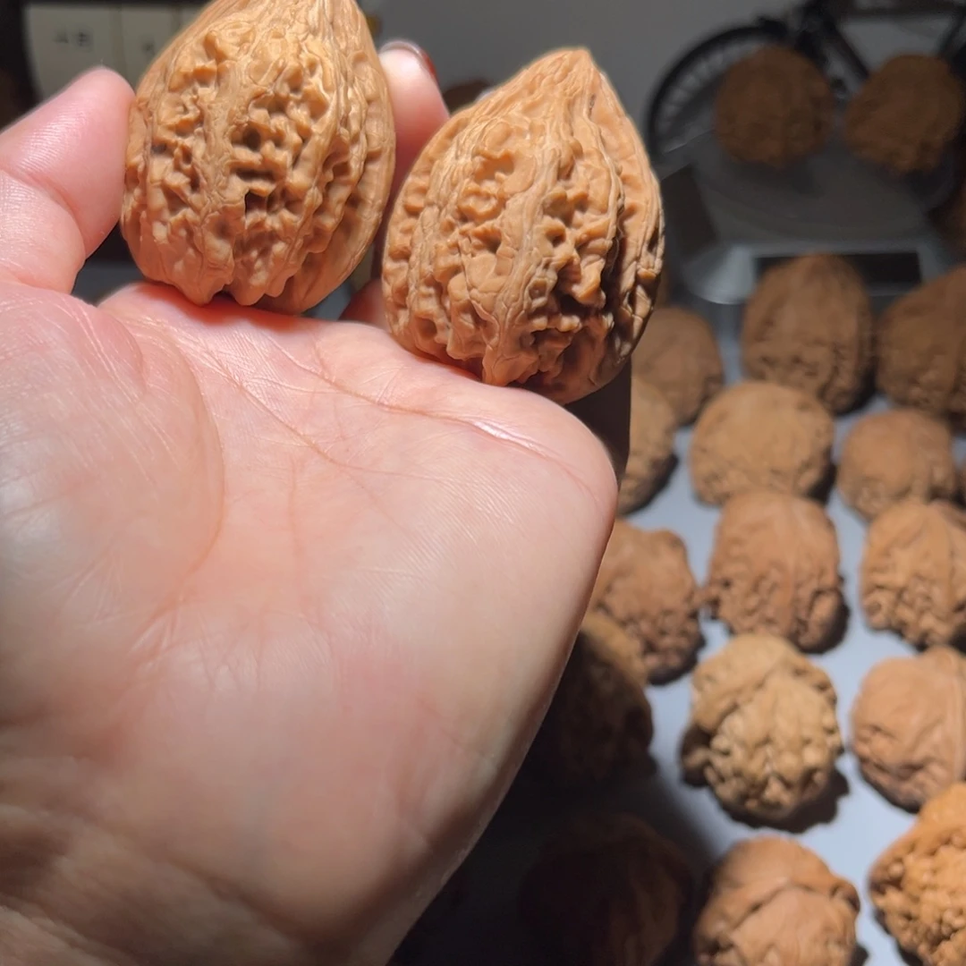 菠***梨木质类大沽石39全品