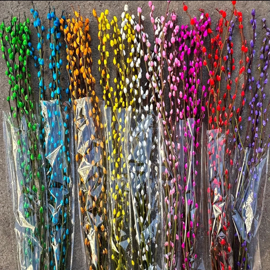 【银柳80-100cm】（任意三件包邮）未拍保温棉，冻伤不售后