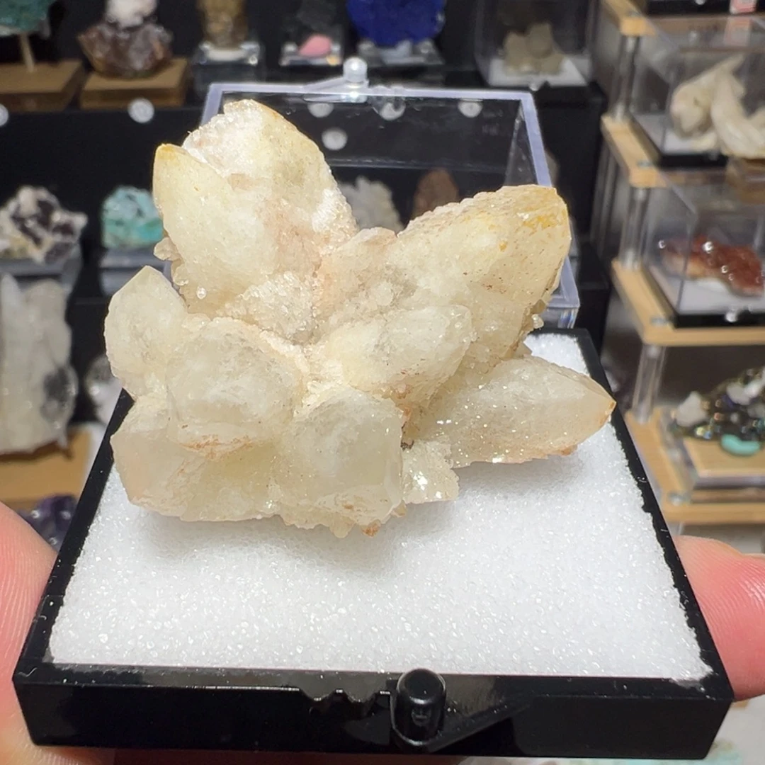 银S925镶嵌大型摆件（非配饰）紫晶