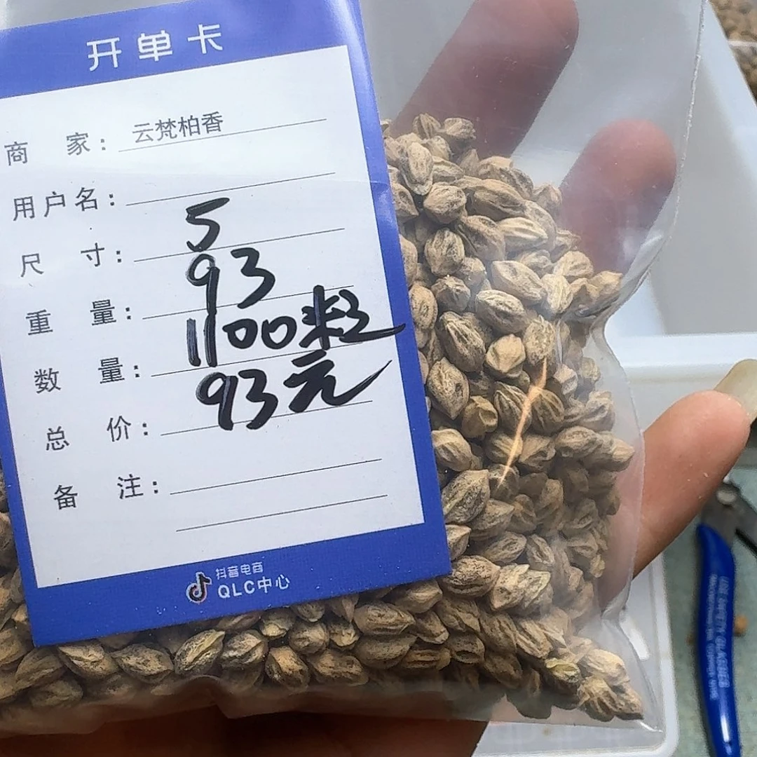 柏香籽/百香籽吊坠滴*