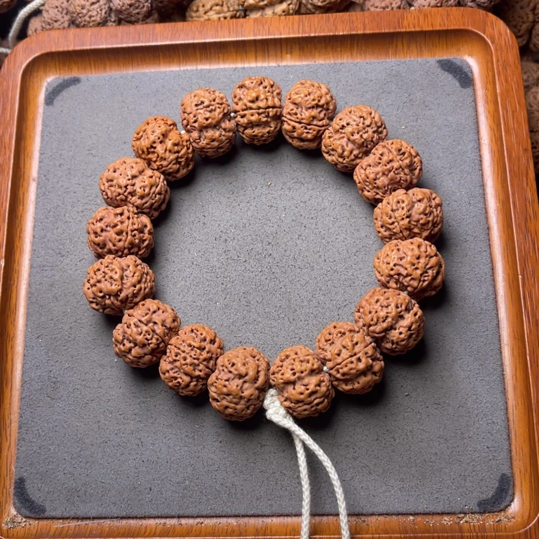 菩提籽类21号金刚菩提梅花蜂窝23