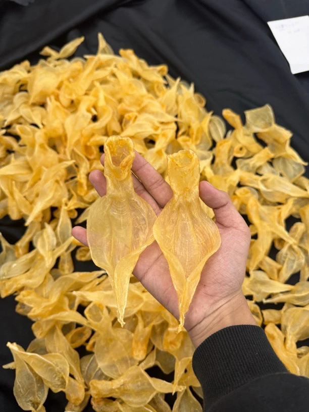 【老船长618】赤嘴 白花1-500g称重 满减链接