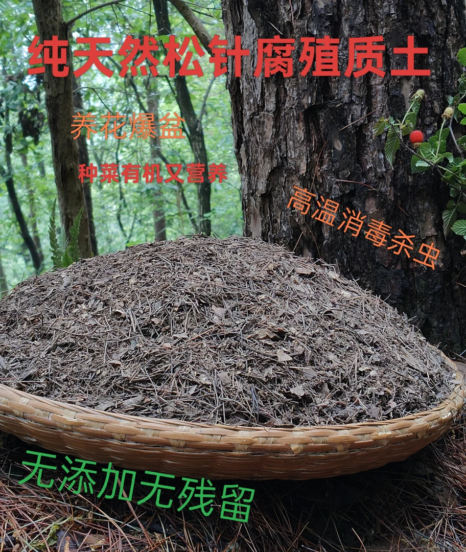 纯天然腐熟松针腐殖土，通用型养花种菜营养土