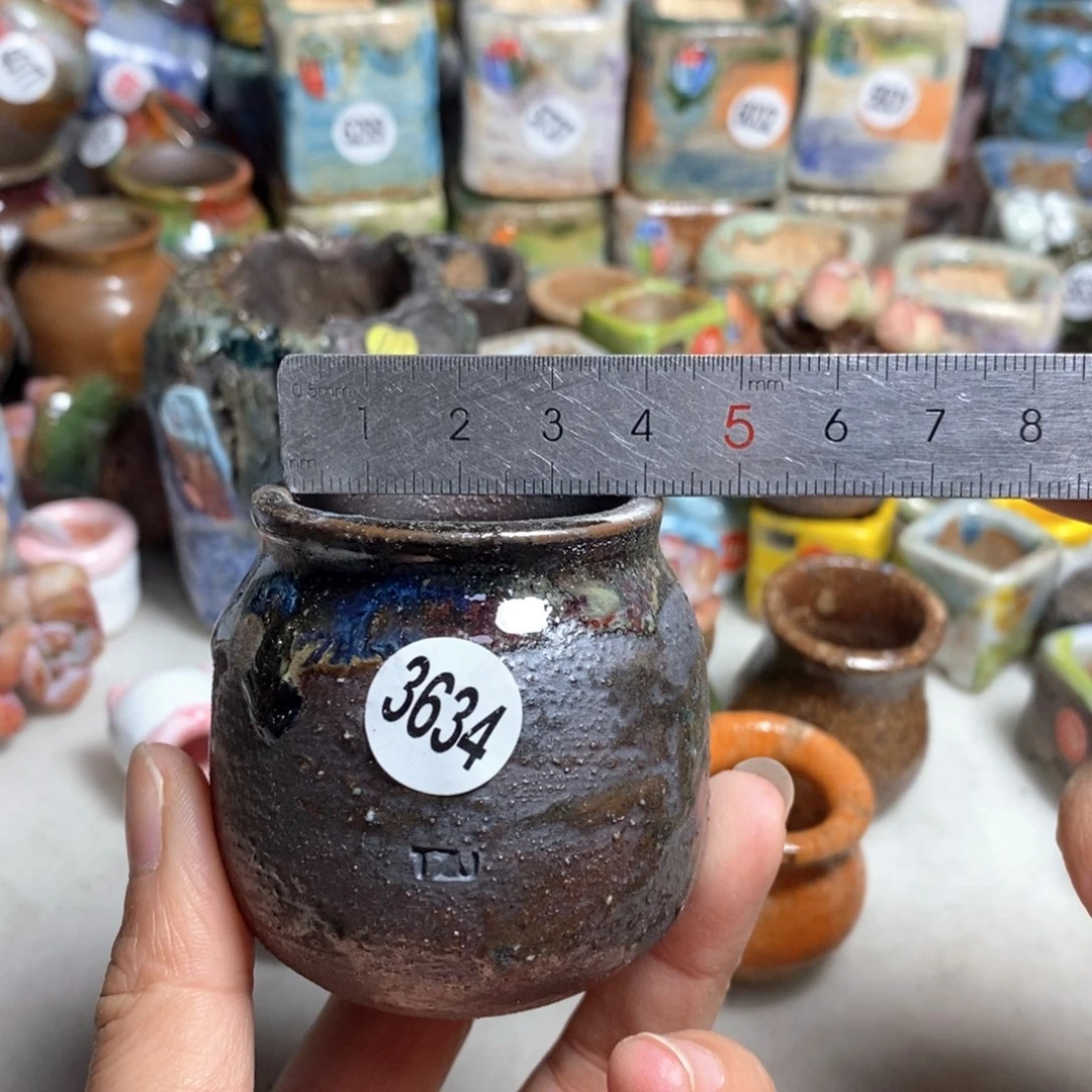 拍5送一个小礼物