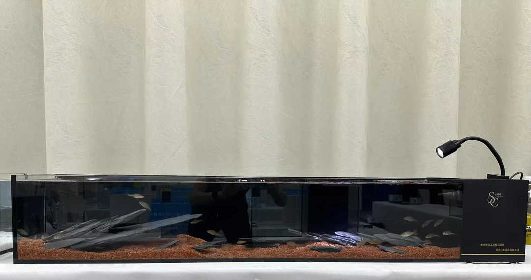 桌面溪流鱼缸+造景沙石组合