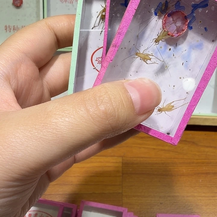 用具组合3条萨克斯