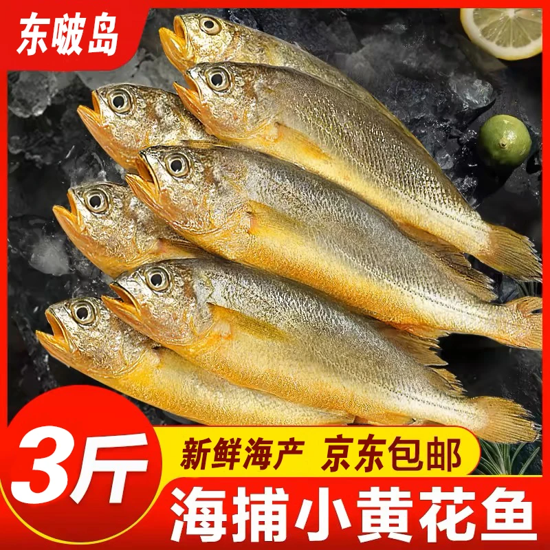 荣成海捕小黄花鱼肉质鲜嫩味美鲜香下饭新鲜