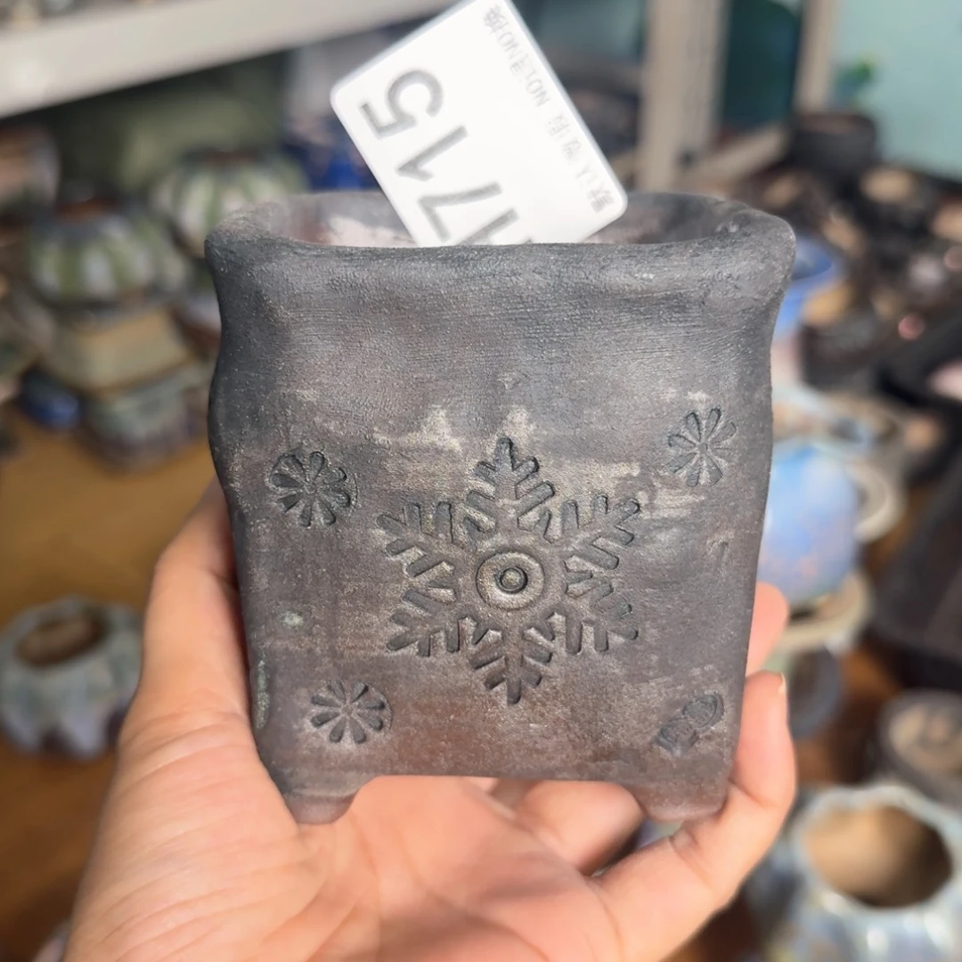 重庆小燕子欢迎大家715