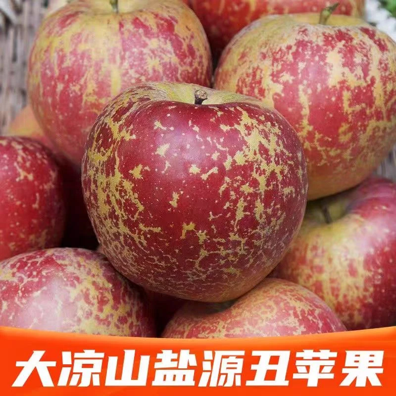 [大凉山直发]四川新鲜丑苹果脆甜盐源卫城凉山苹果