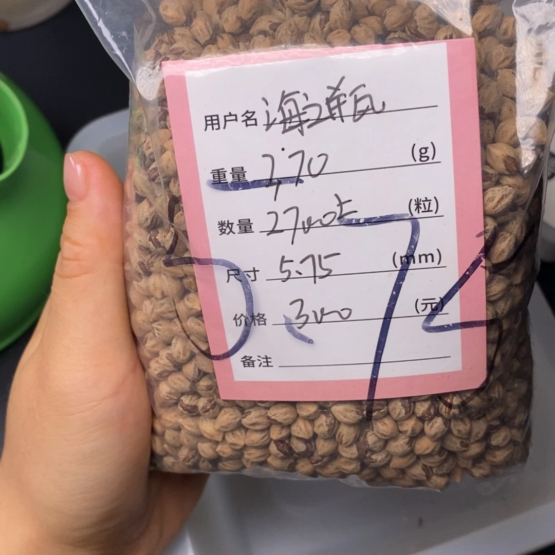 海***瓶柏香籽/百香籽吊坠