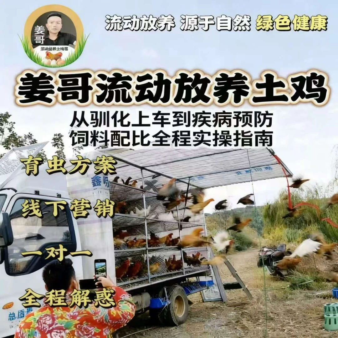 流动养鸡训话全流程落地指南