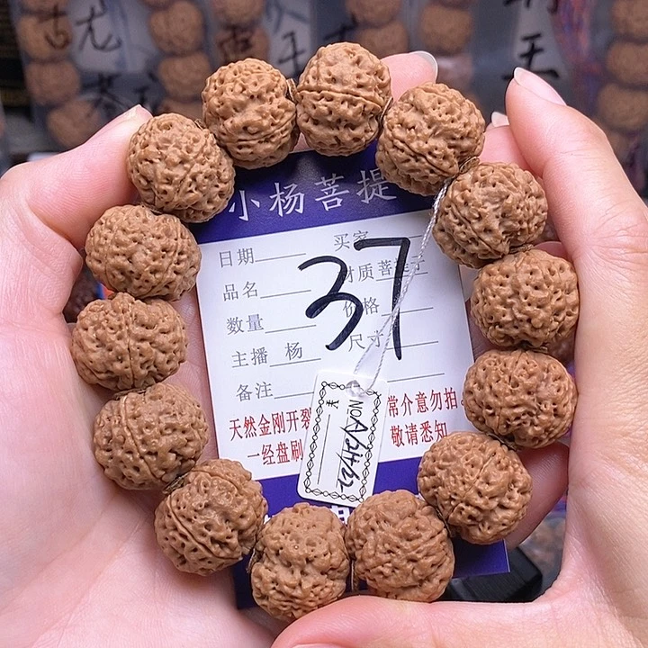 手串金刚菩提21.5/22铁骨双龙