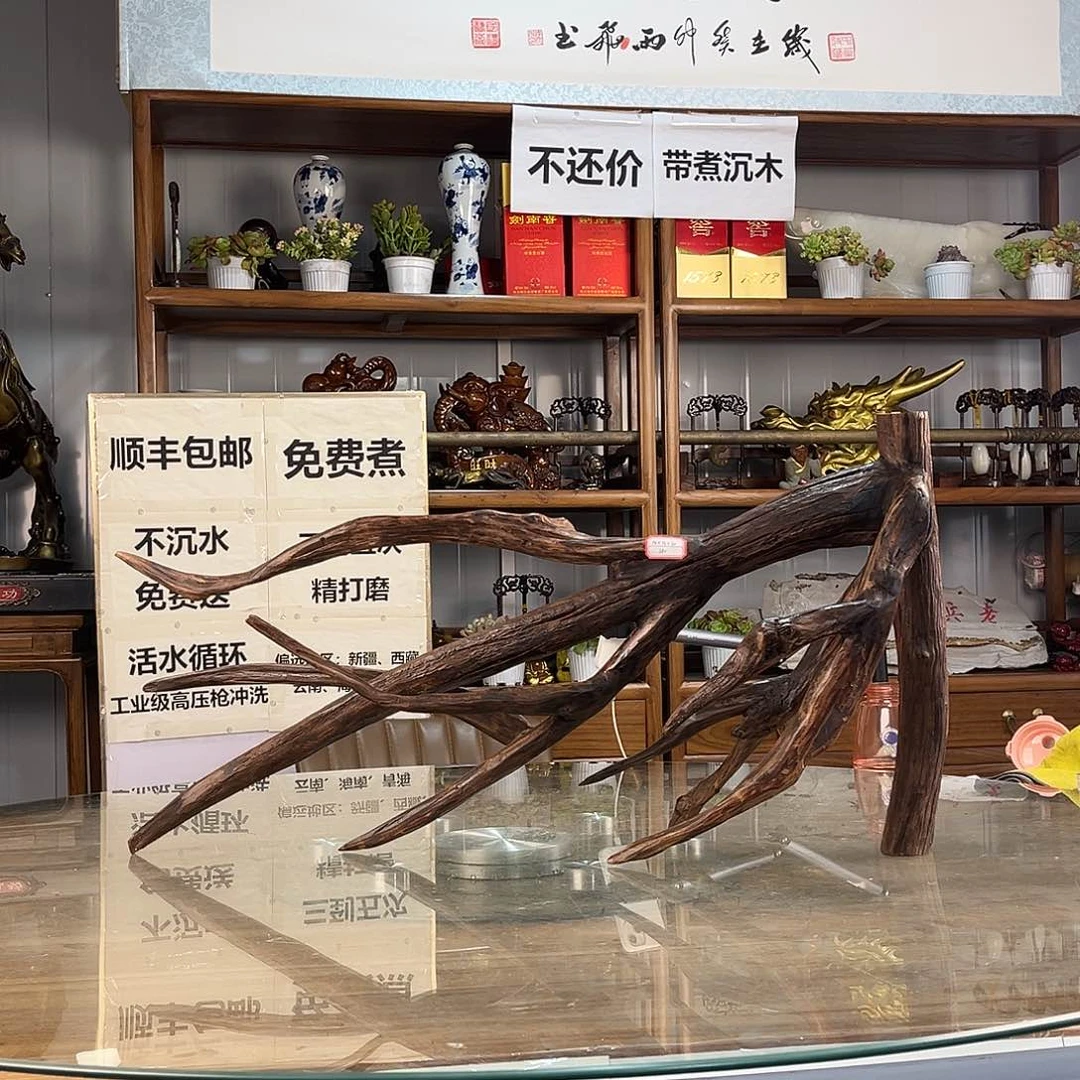 紫砂紫柚木柒*一木成景