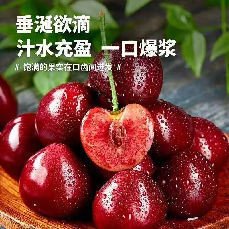 【京东空运】烟台樱桃J 26mm新鲜现摘现发拍2斤送2斤（共4斤）