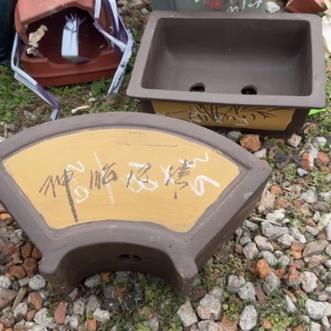 紫砂花盆紫砂花盆盆景盆栽