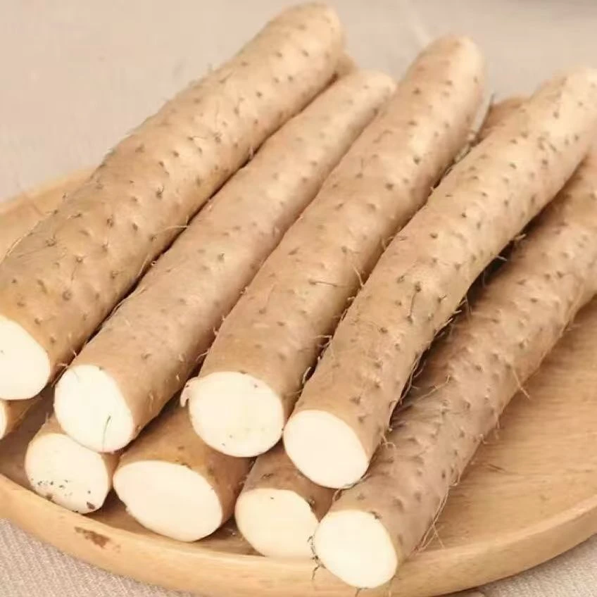 铁杆山药1斤左右