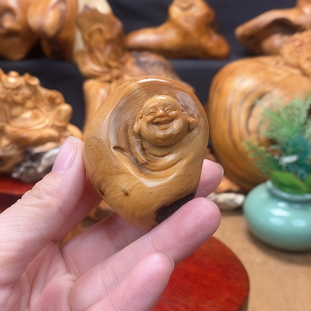 柏木（崖柏）一物一图