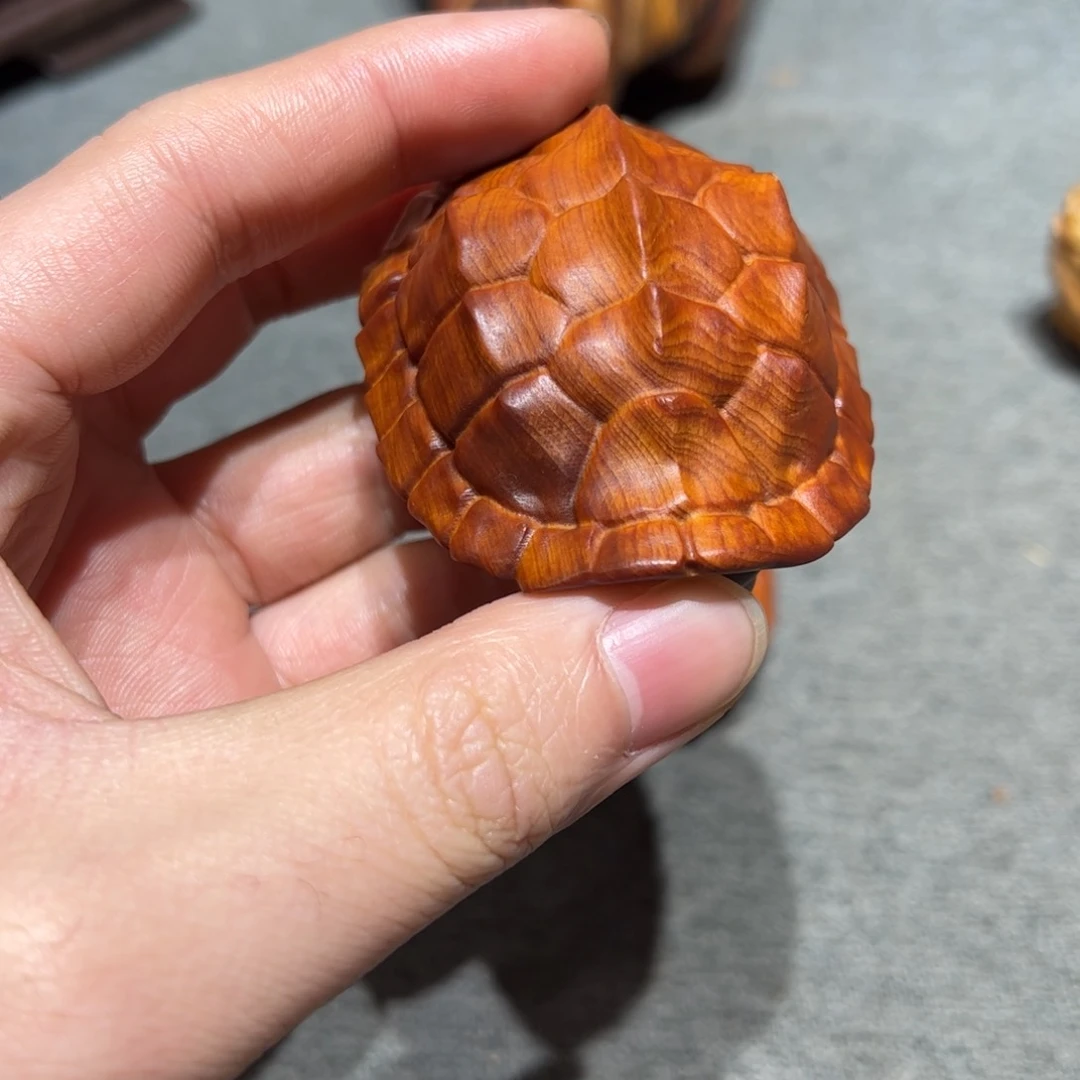 太行崖柏陈化太行