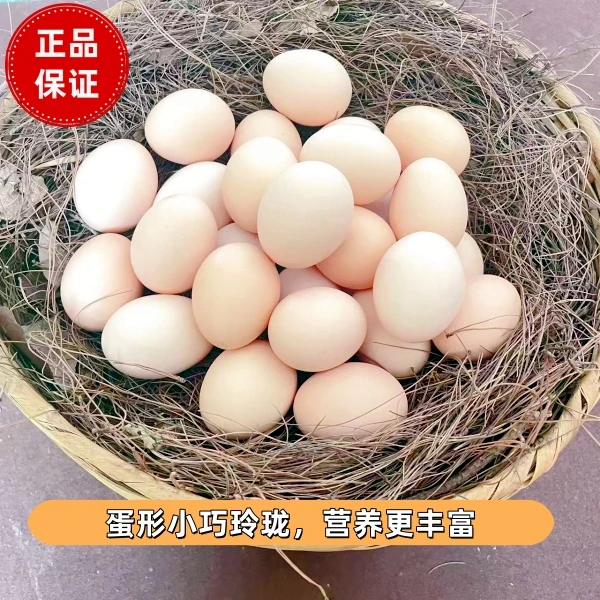 【新品50枚】山林散养土鸡蛋新鲜鸡蛋营养健康每日甄选鲜蛋 4.5-5斤