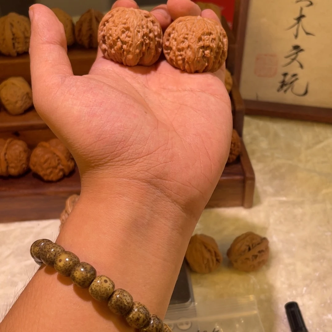 37尺寸磨盘红皮山地果全品