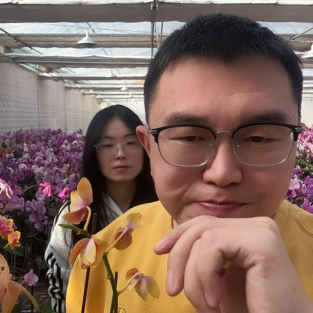 完全开放带花花后苗4颗不挑