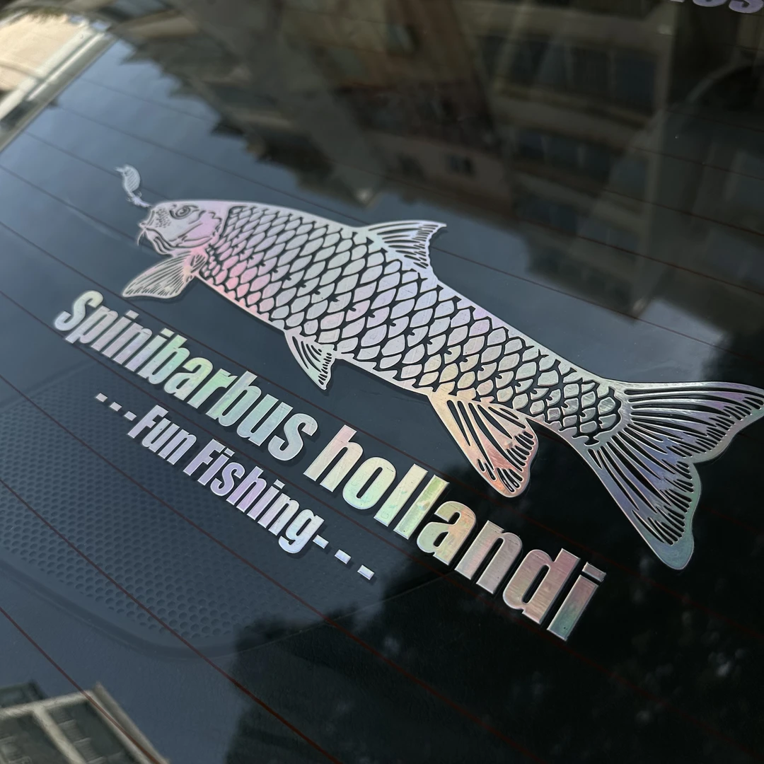 军鱼【请勿摩擦】吉罗盈江结鱼同科路亚水晶标车贴防水29CM*15CM