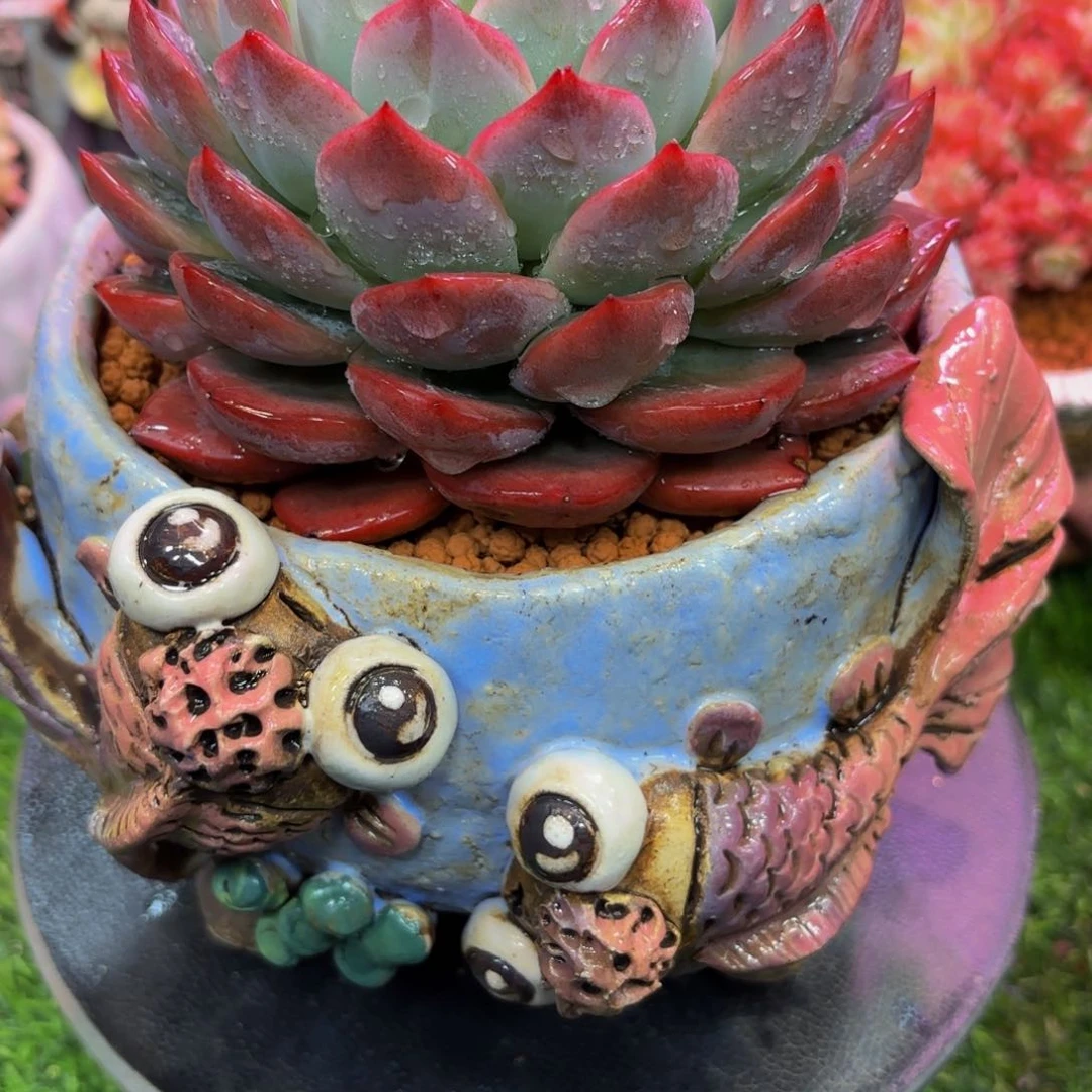 陌*Hvbjvjvhjjjhjihhjjjjjjjj