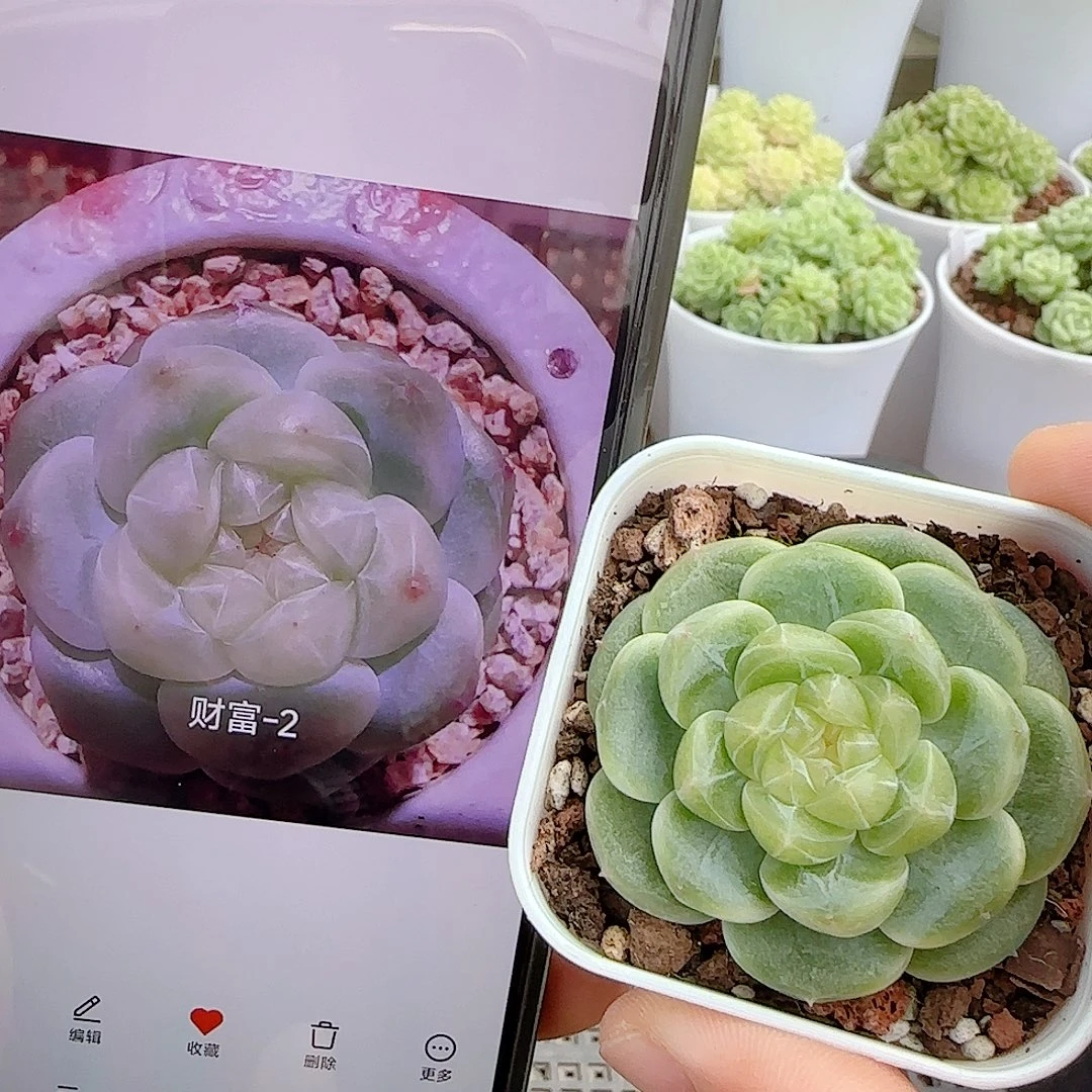 【闪购商品】0925-7财富-2