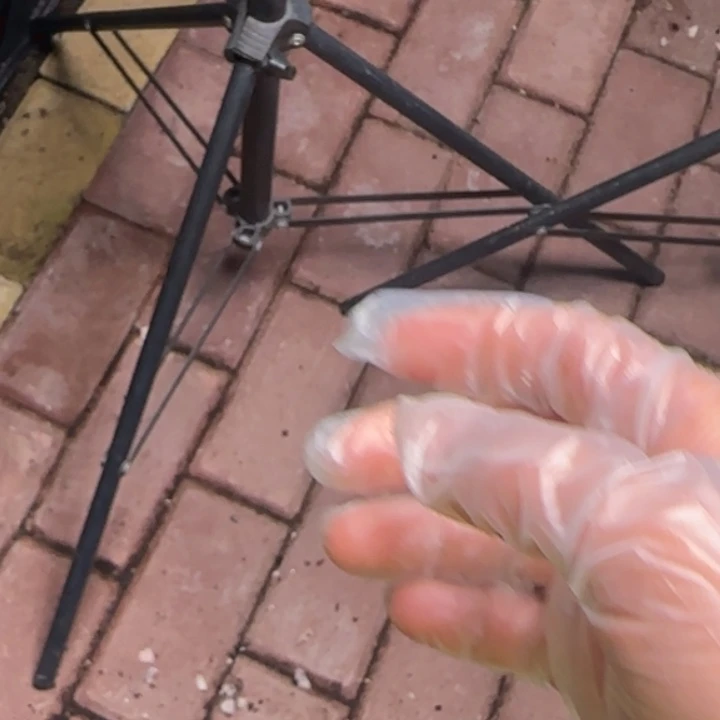 679号 冰魄拍一发3