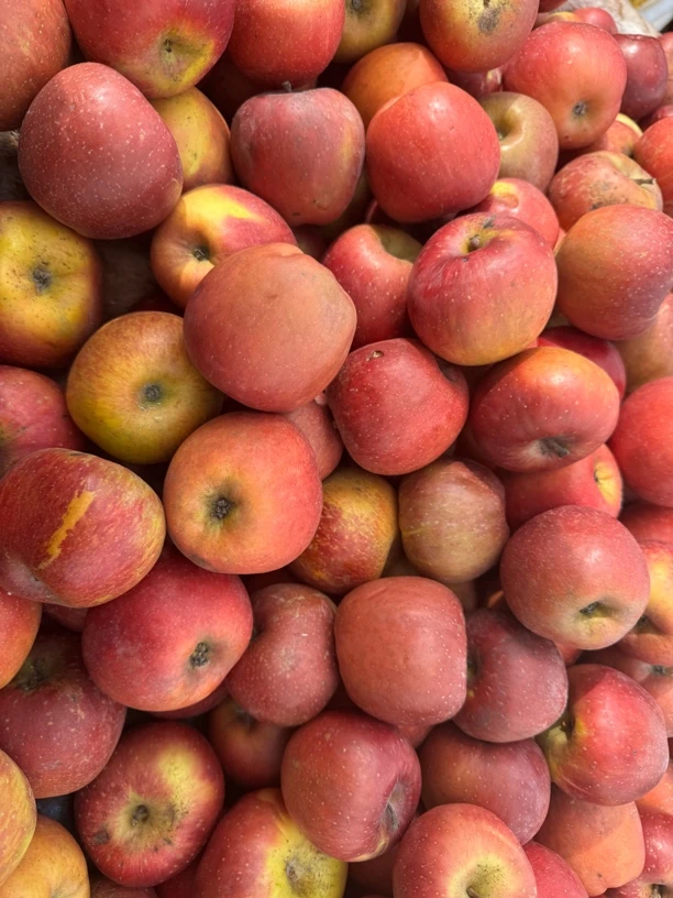 云南丑苹果新鲜苹果