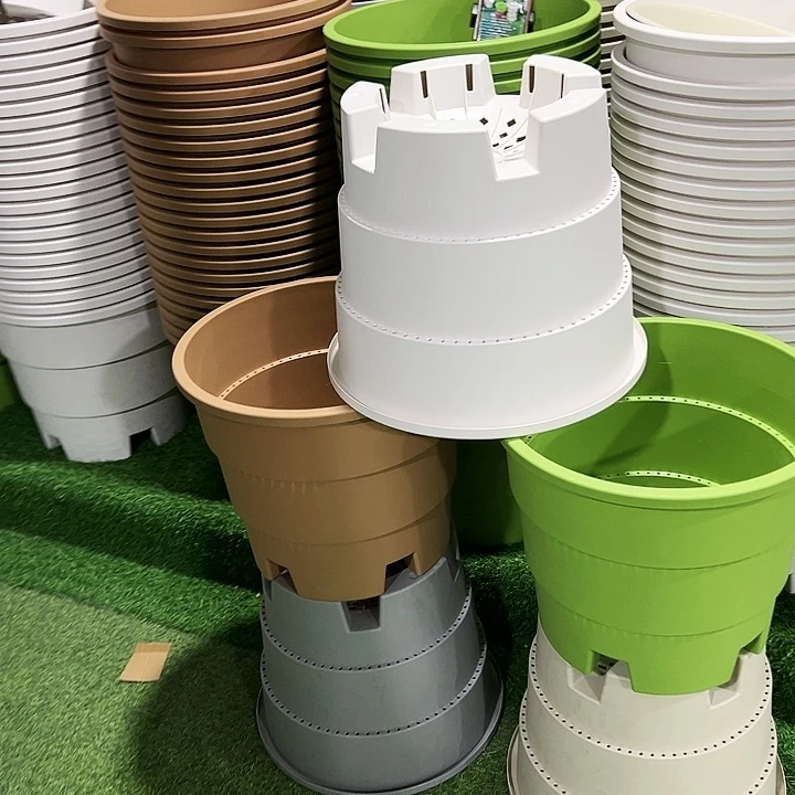 正品蓝莓盆口39高33白色无托3只