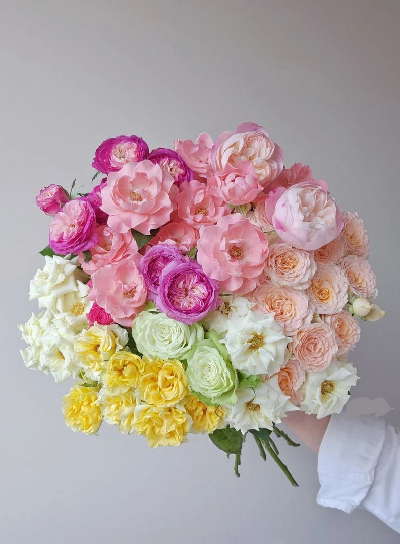 云南直发基地彩拼多头 玫瑰鲜切花 全场任意两单顺丰/京东