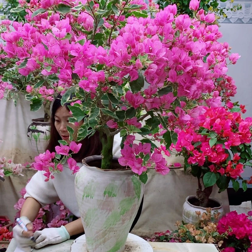 【闪购商品】完全开放