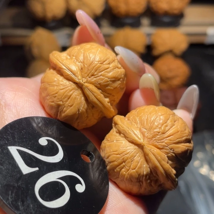 铃铛30尺寸核桃。