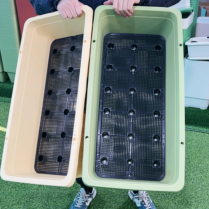 特价大菜盆长67宽4高18.5果绿2只