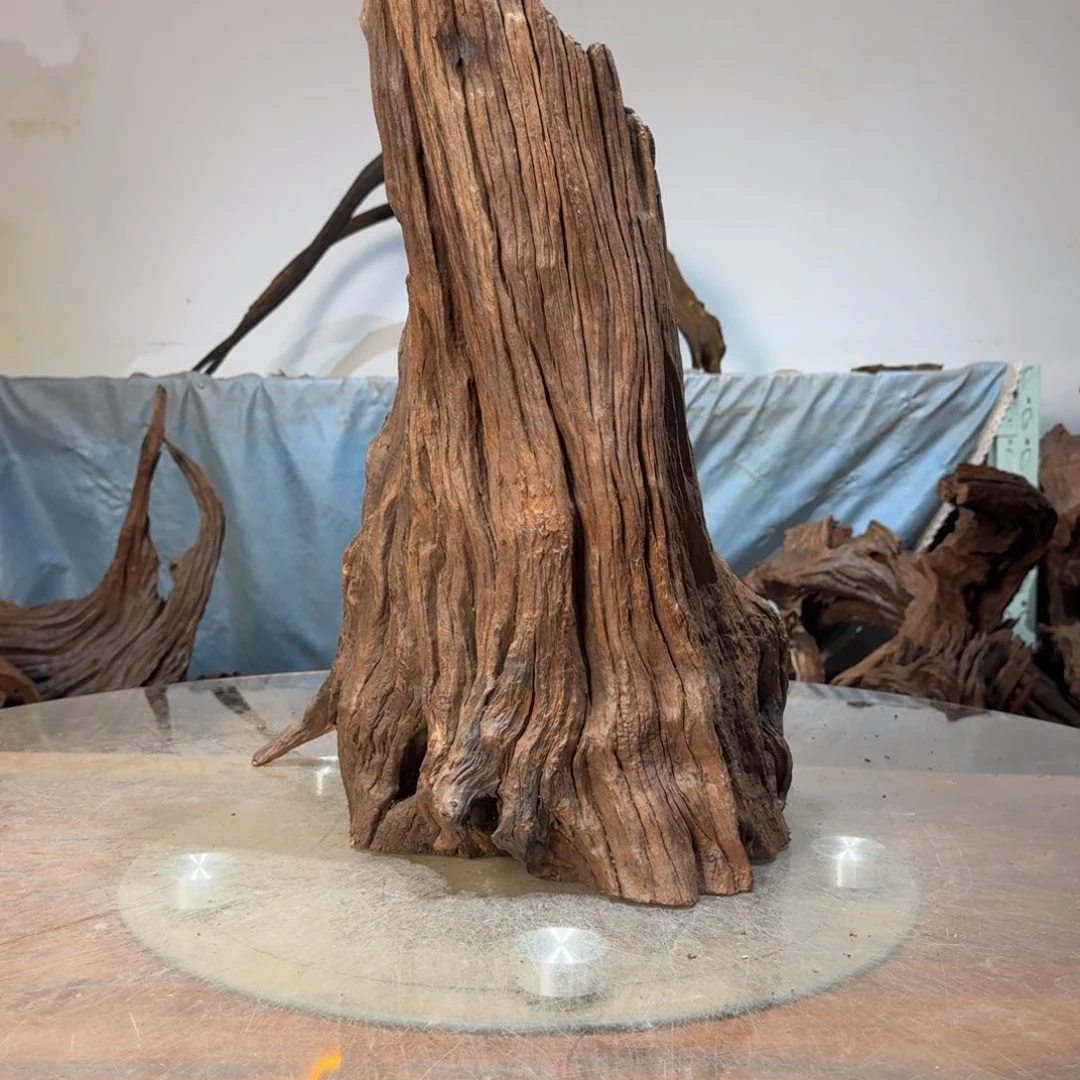 大***修沉木一物一拍造景