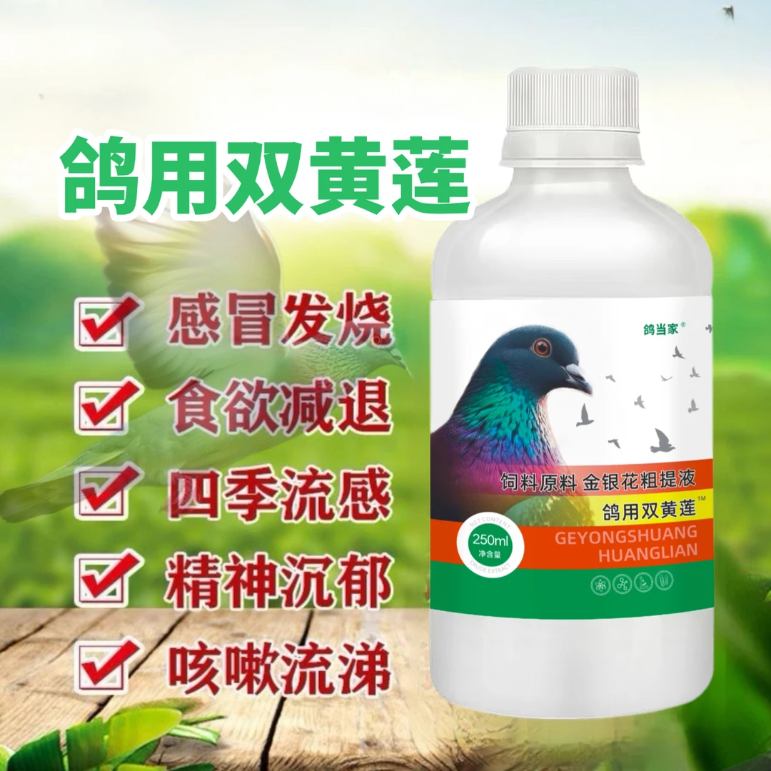 鸽当家鸽用双黄莲250毫升饮水拌料绿色精祛火清热解暑抗病毒鸽用