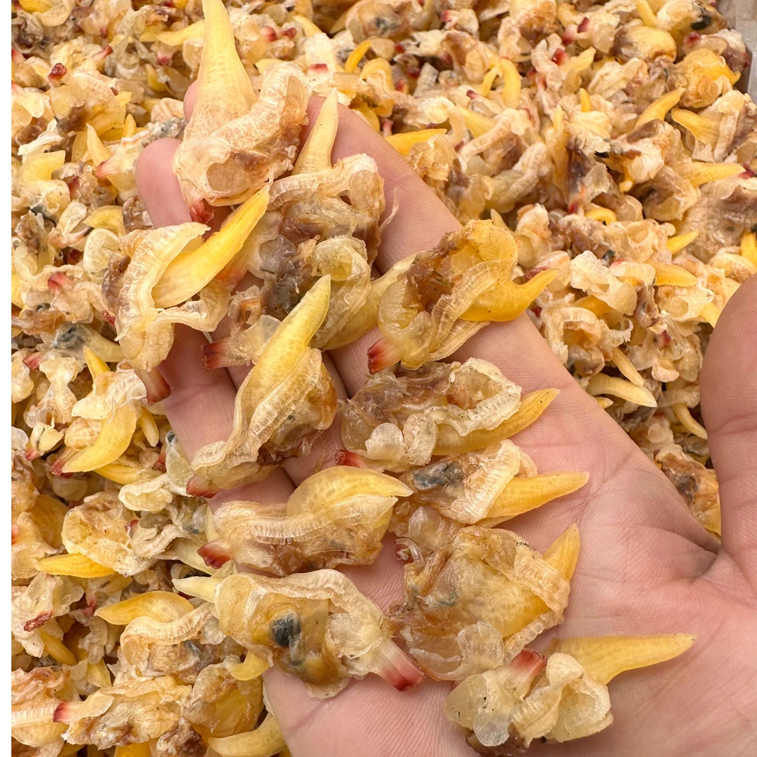 大花甲肉干爆炒煲汤煲粥凉拌250-1000克一包